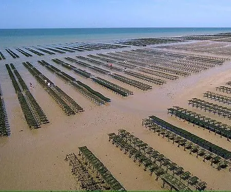 Διαμέρισμα Deauville Duplex 1er Etage Dans Centre Jardin Amenage Commun Proche Des Plages Du Debarquement- Parking Gratuit A Proximite Μπαγιέ