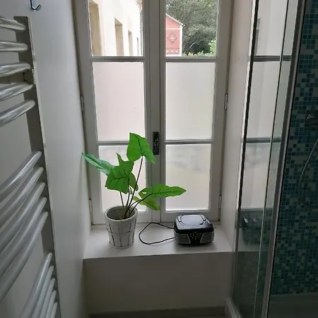 Deauville Duplex 1er Etage Dans Centre Jardin Amenage Commun Proche Des Plages Du Debarquement- Parking Gratuit A Proximite דירה באיו